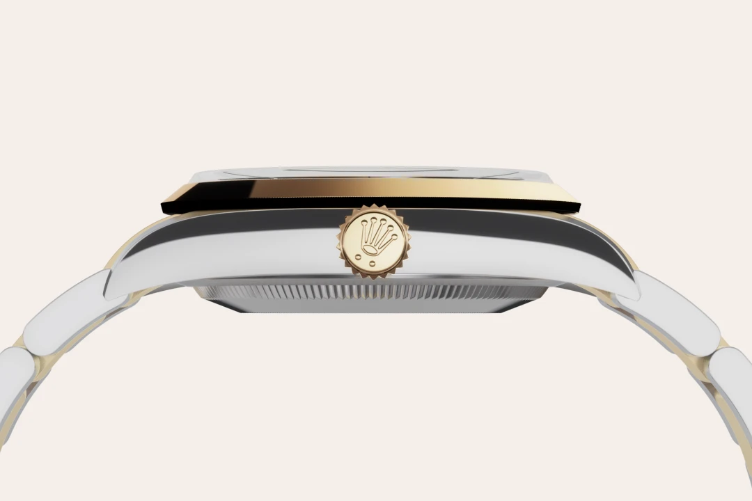 Rolex Explorer 36 en acero Oystersteel y oro amarillo con esfera Negra y brazalete Oyster - Bentrani , m124273-0001 - Bentrani