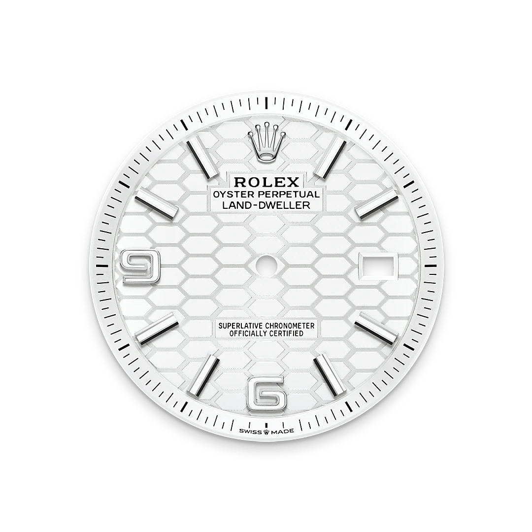 Rolex Land-Dweller de acero Oystersteel y oro, m127334-0001 - Bentrani