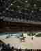 Rolex Grand Slam of Show Jumping - Bentrani