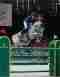 Rolex Grand Slam of Show Jumping - Bentrani