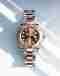 relojes Rolex Yacht-Master - Bentrani, Santo Domingo